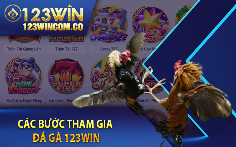 Đá Gà 123Win - Trường Đấu Đá Gà Ăn Tiền Thật Uy Tín Nhất Năm 2023 3 Các bước tham gia đá gà 123Win