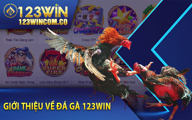 Đá Gà 123Win - Trường Đấu Đá Gà Ăn Tiền Thật Uy Tín Nhất Năm 2023 2 Giới thiệu về Đá Gà 123Win