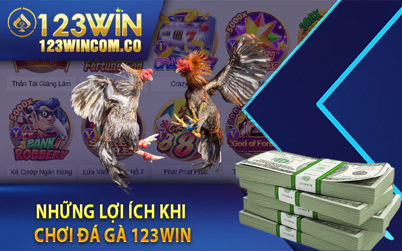 Đá Gà 123Win - Trường Đấu Đá Gà Ăn Tiền Thật Uy Tín Nhất Năm 2023 4 Những lợi ích khi chơi đá gà 123Win
